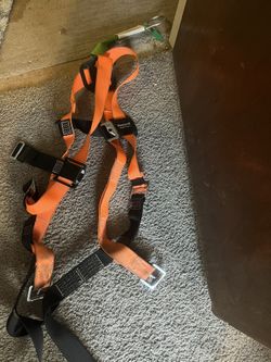 Safety Harness
