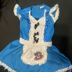 Alice In The Wonderland