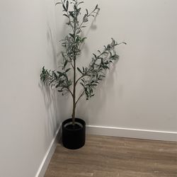 Crate And Barrel Plant Tree