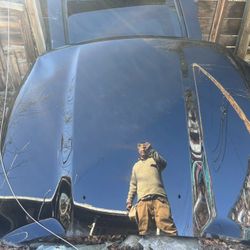 13 Dodge Ram Hood Black OEM 5.7 liter 