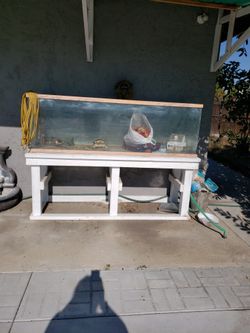 Fish Tank