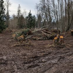 Land Clearing.Small Logging Jobs