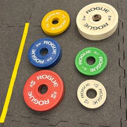 25kg Rogue Change Plate Set