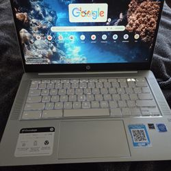 Hp Chromebook 