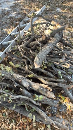 fire wood