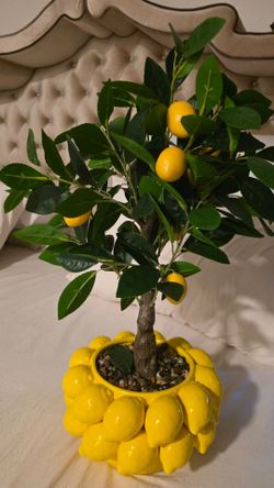 Brand New Martha Stewart Lemon 🍋 Artificial tree