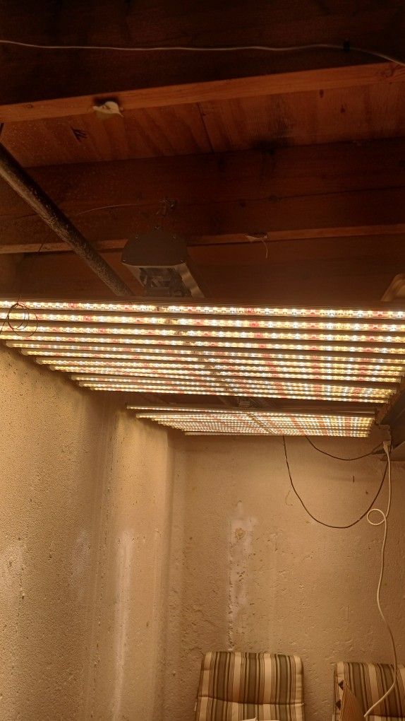 Growing Lights