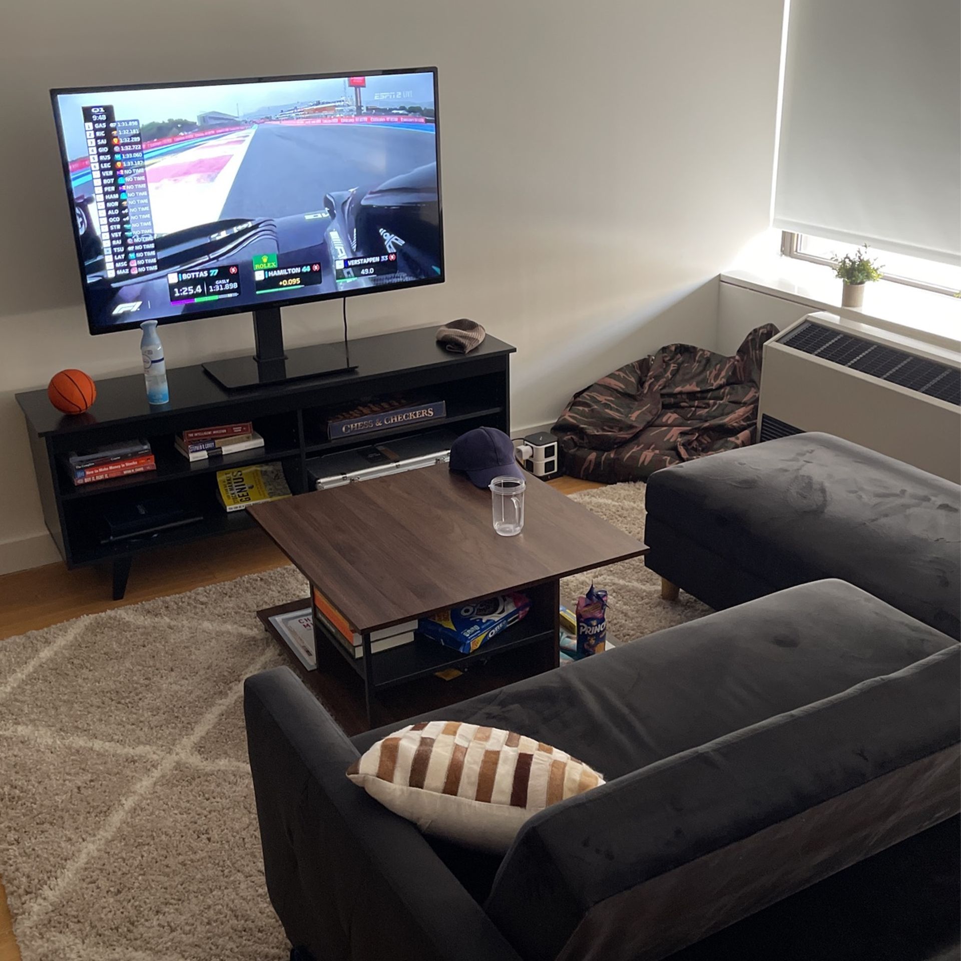 Living Room Setup