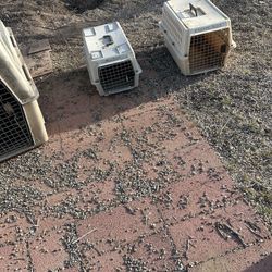 Small Dog Cages