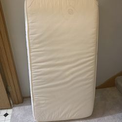 Sealy Toddler Mattress 