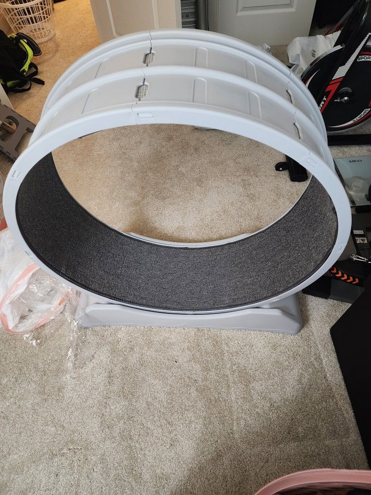 Cat Treadmill