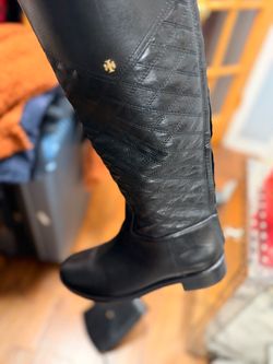 Bota
