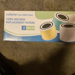 Core 300/300s Filter