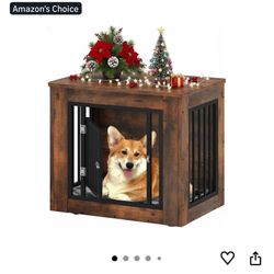 Small Dog House 