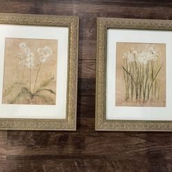 Pair of Framed Florals 13.5 x 16.5 Smoke free household