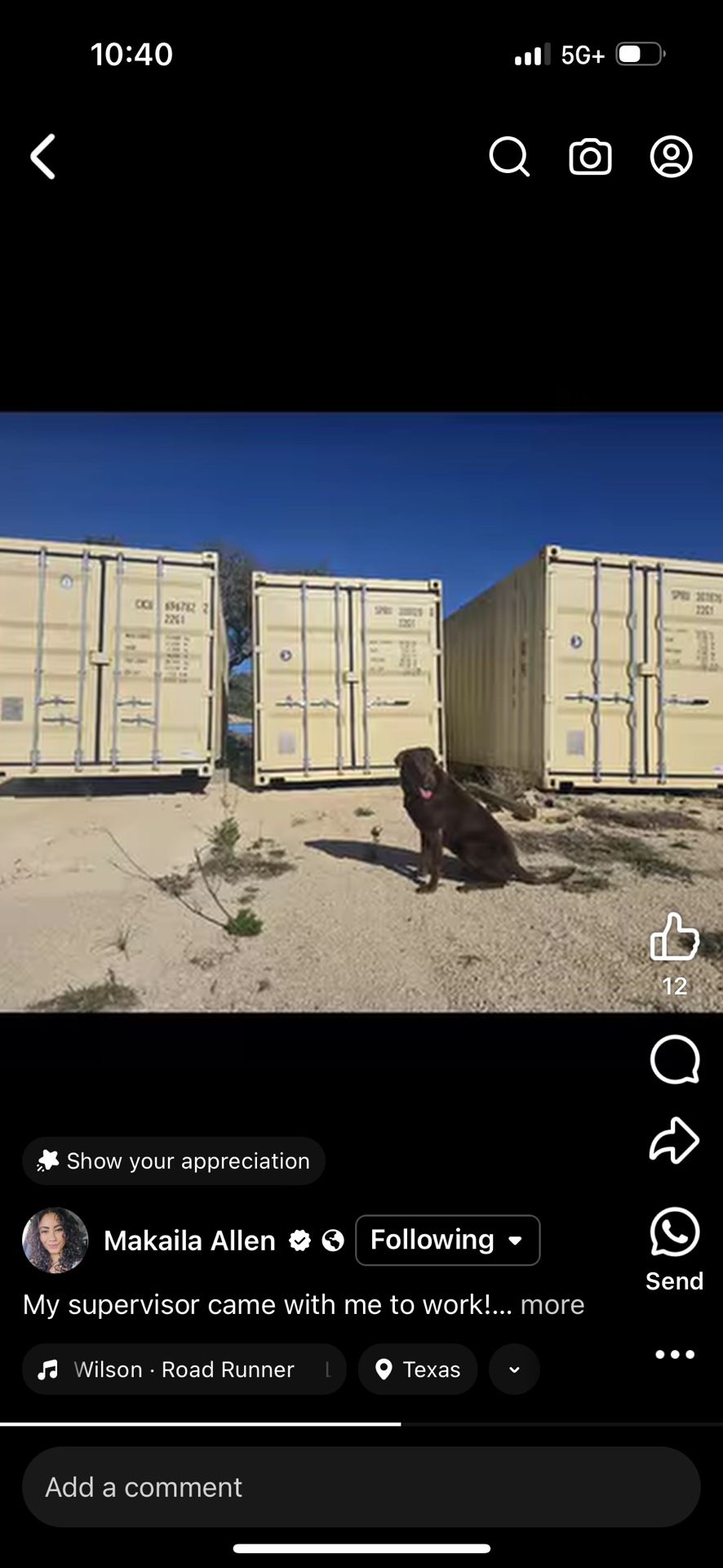 20 Foot One Trip Containers