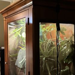 Large Reptile Cage