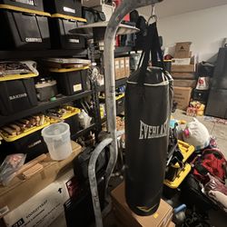 Punching Bag 