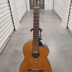 Ibanez Guitar