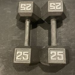 25 Lb Dumbbells 