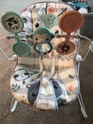Baby Bouncer