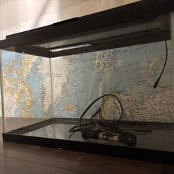 Aquarium/Fish Tank 