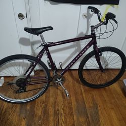 Gary fisher mountain bike