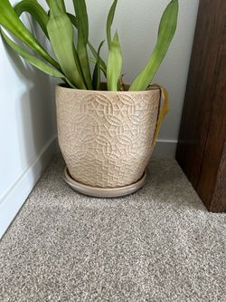 Large Ceramic Planter Pot with Saucer