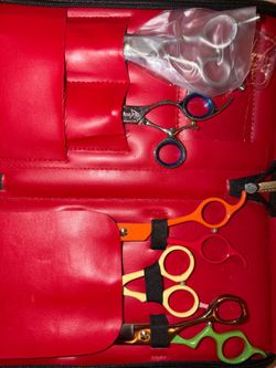 Dog grooming shears, chunkers, etc!