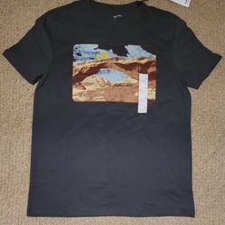 NWT MENS GOODFELLOW & CO T SHIRT GRAY PRINT SIZE M