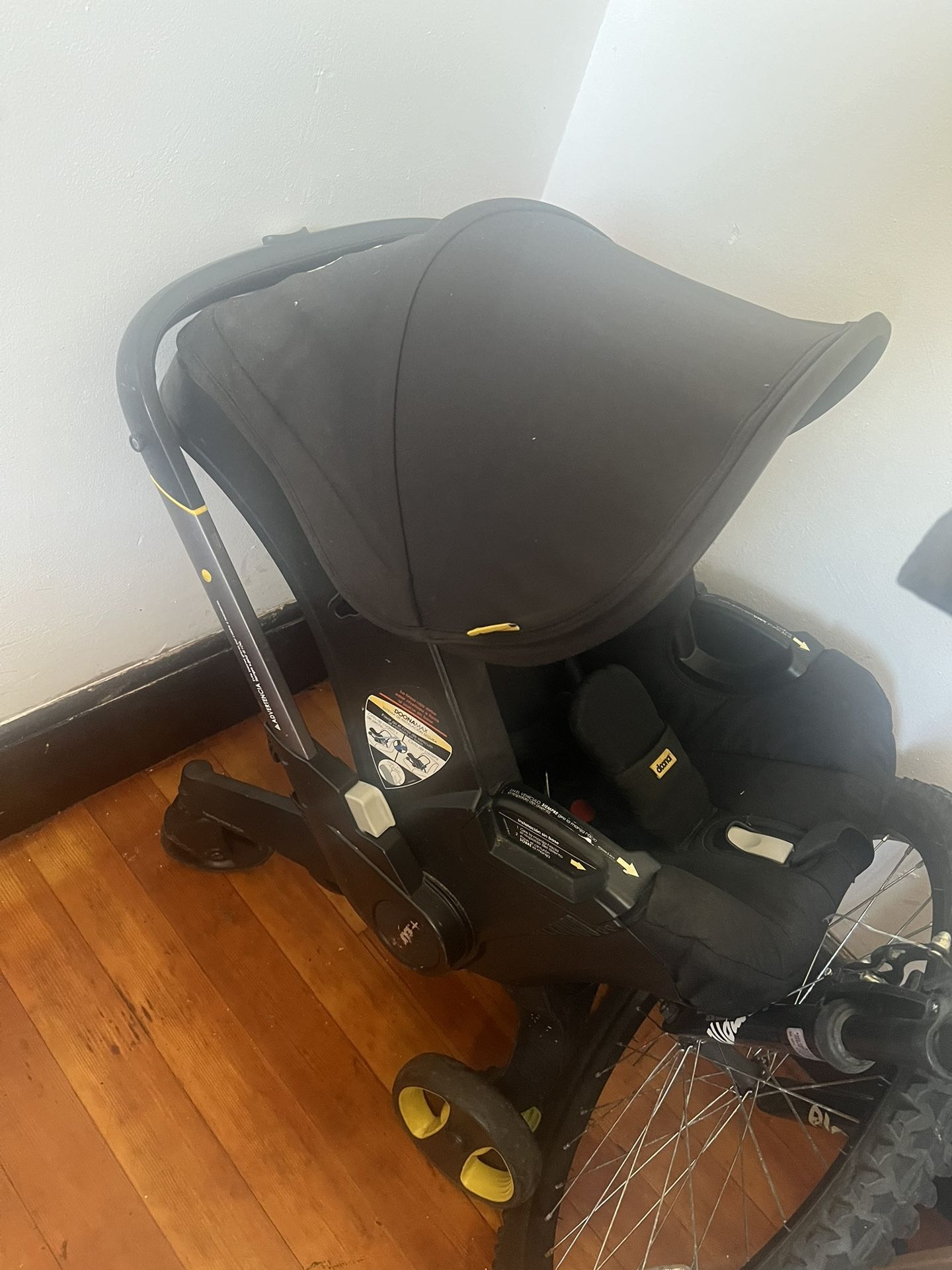 Donna Carseat