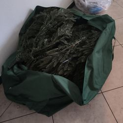 Lights Christmas tree