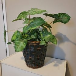 Faux Plant With Planter 