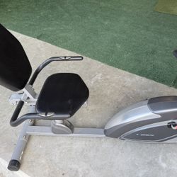 Recumbent Bike 