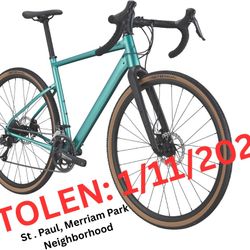 STOLEN - Cannondale Topstone 3 (Turquoise) 