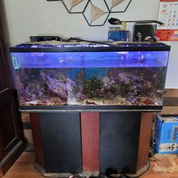 Fish Salt Water Tank 