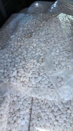 8-12 mm white polished pebbles.