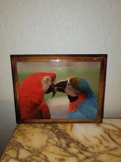 Wood Hodge Podge Parrot Picture