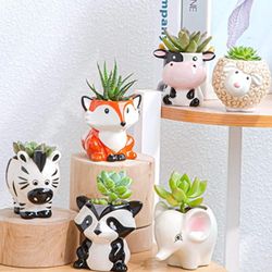 Cute Succulent Planter, Succulent Pots with Drainage Hole Flower Plant Pot Cartoon Ceramic Tiny Pot for Indoor Mini Flower Planters Cactus Container S