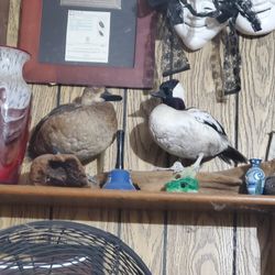 2 Ducks  Nice Present For A Hunter