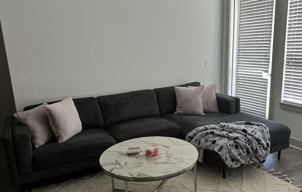 Gray Couch