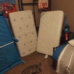 Toddler Bed And Two Toddler Mattresses