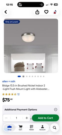 Allen + Roth Flushmount Ceiling Fixture New !!
