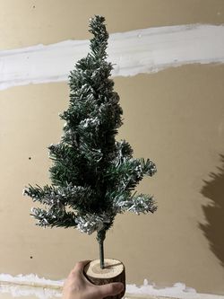 Little Xmas tree