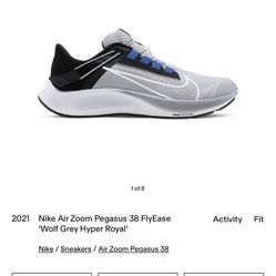 Nike Pegasus Air Zoom 38 FlyEase 12 Wolf Grey HyperRoyal