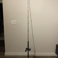 Carnage II Rod With Penn Rival 20LW