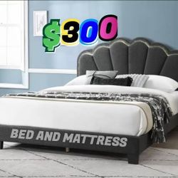 Queen Size Bed And Mattress