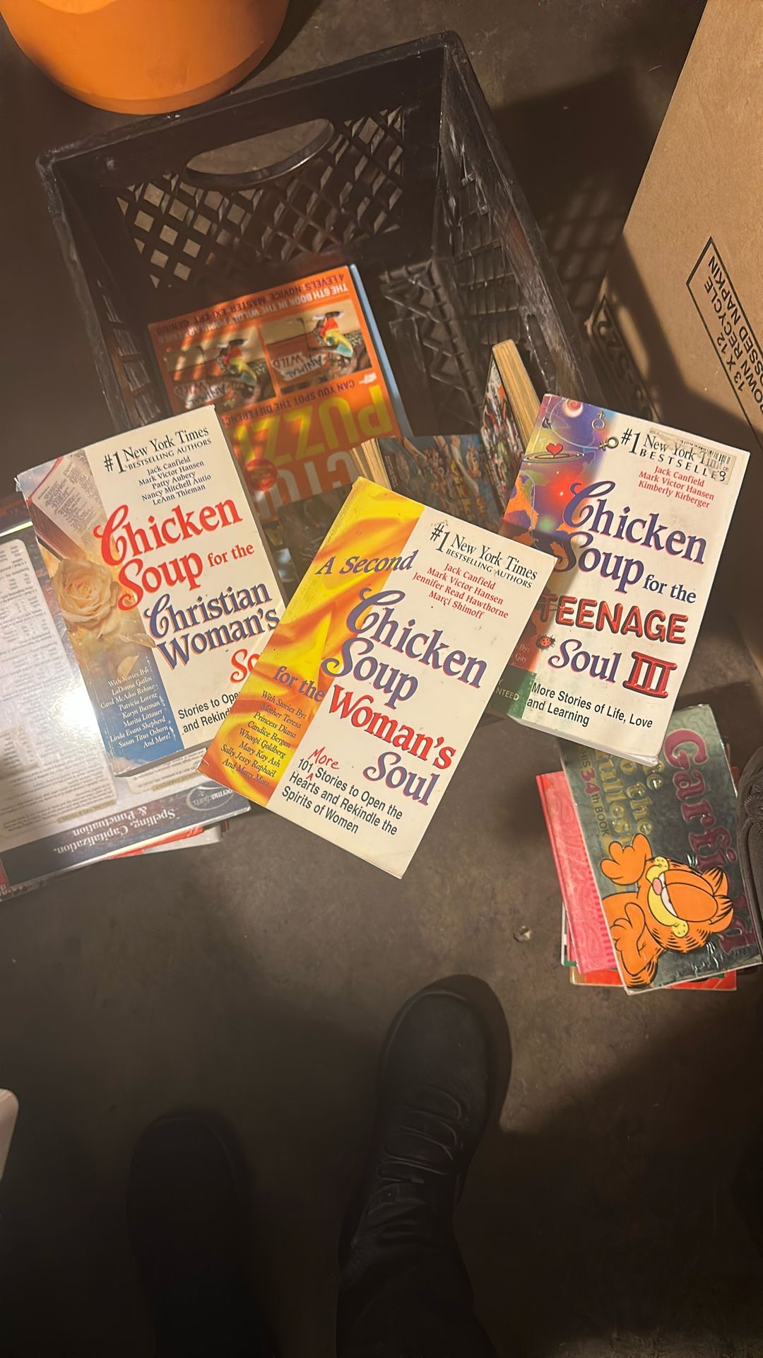 3 Books Of Chicken Soup