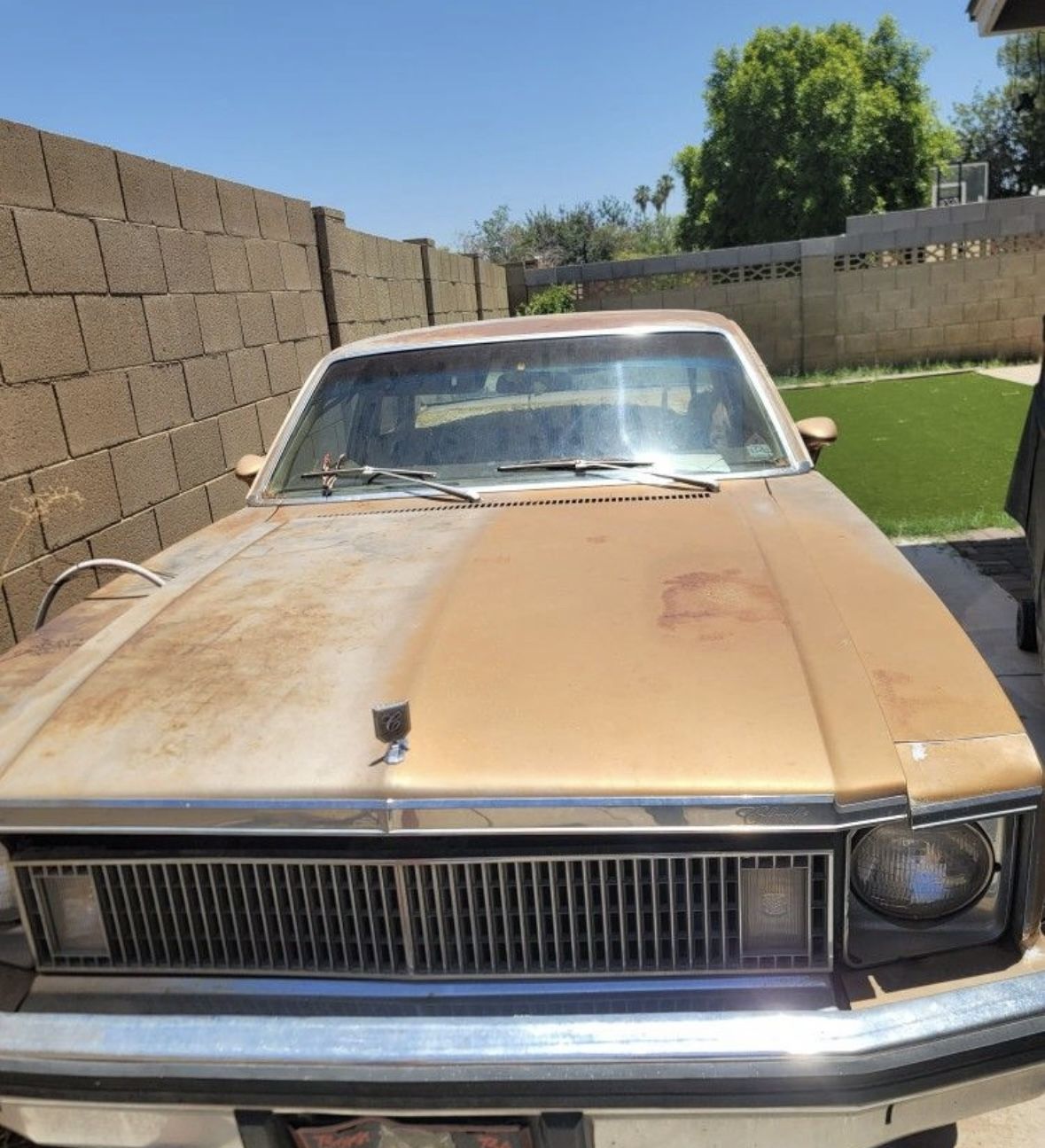 1977 Chevrolet Nova