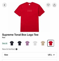 Supreme Box logo tonal tee (Sz Large worn 1x)